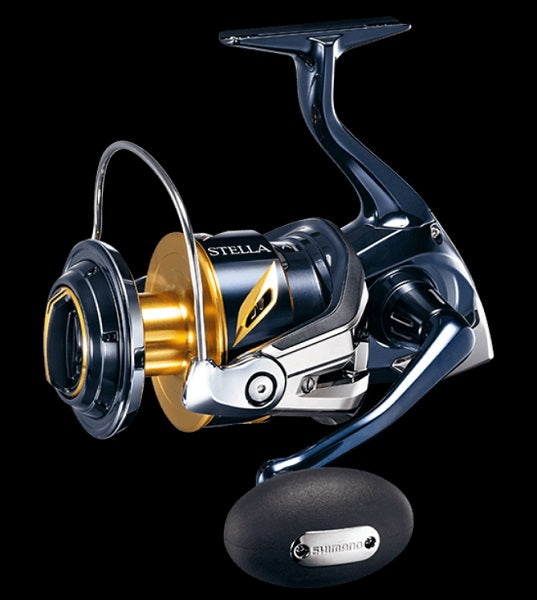 Shimano 19 Stella SW 10000PG