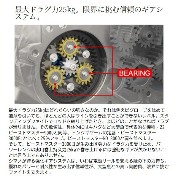Shimano 26 Beast Master 3000II