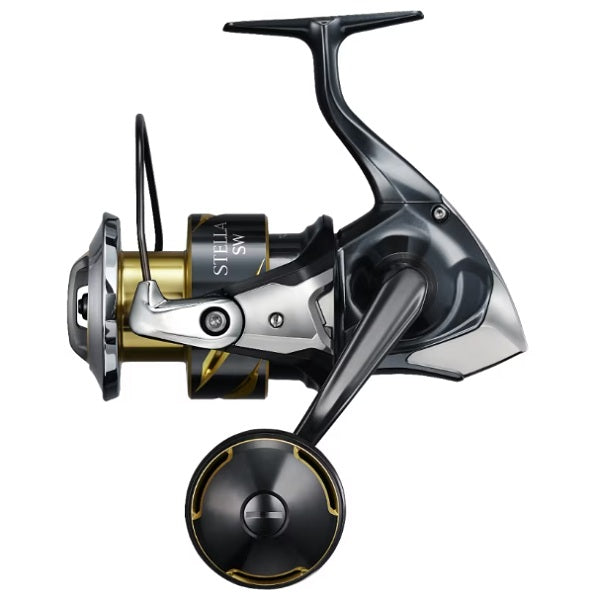 Shimano 26 Stella SW 6000PG