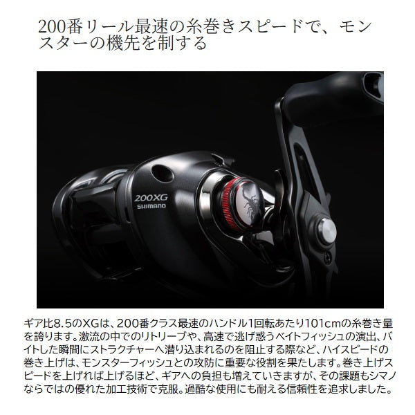 Shimano 26 Scorpion DCMD 201XG (Left handed)
