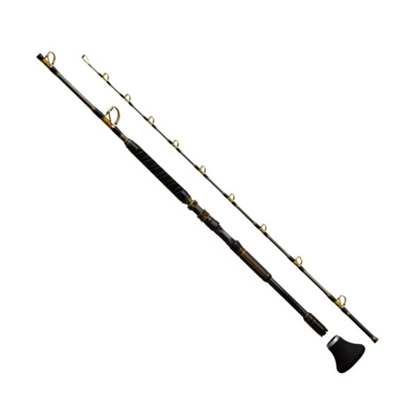 Shimano Boat Rod Arciera Oyogase MH/H200 (2 piece for electric reel)