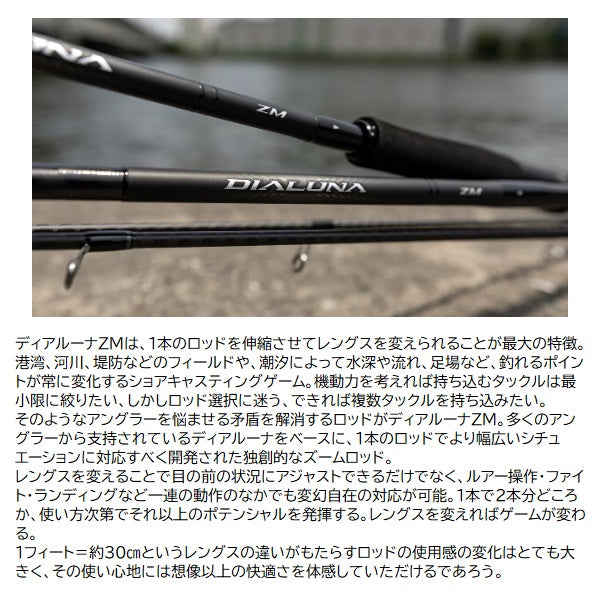 Shimano Seabass Rod Dialune ZM S96-106M (Spinning 3 piece)