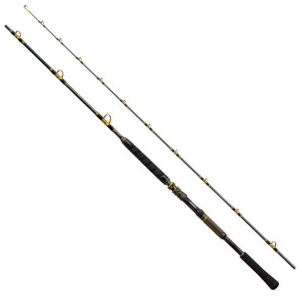 Shimano Boat Rod Arciera Otoshikomi 64MH250 (2 piece)
