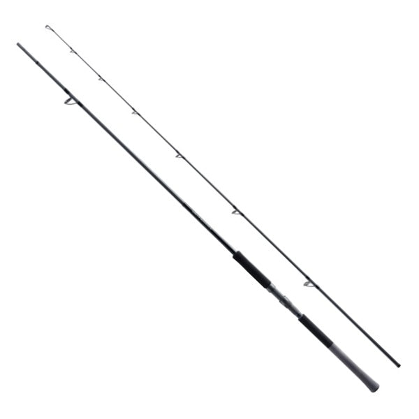 Shimano Shore Jigging Rod 25 Salty Advance Shore jigging S100M (Spinning 2 piece)