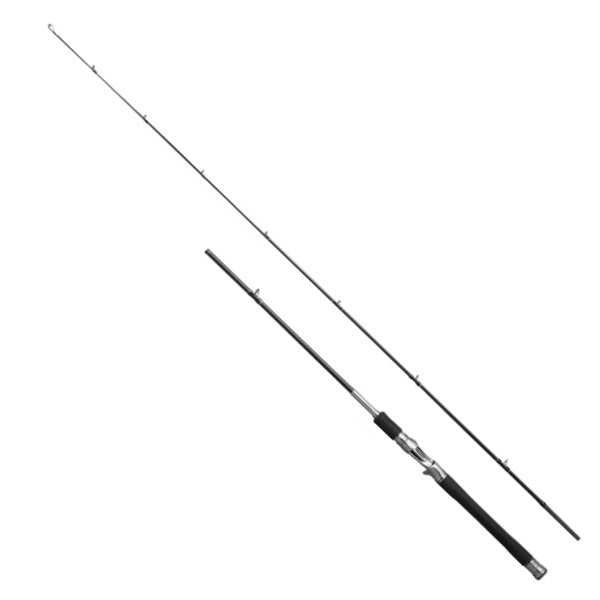 Shimano 25 Lesath 16101F-2  (Baitcasting 2 piece)