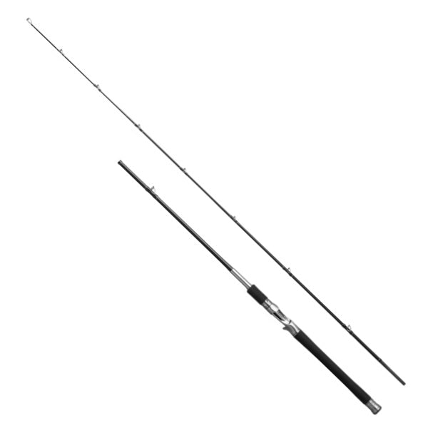 Shimano 25 Lesath 1704R-2  (Baitcasting 2 piece)