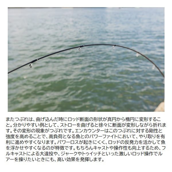 Shimano Seabass Rod 24 Encounter S 100M (Spinning 2 Piece)