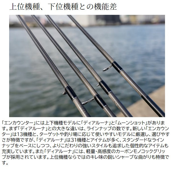 Shimano Seabass Rod 24 Encounter S 100M (Spinning 2 Piece)