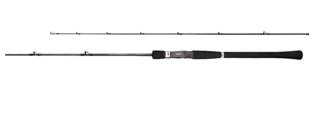 Shimano Offshore Rod 19 Salty Advance Jigging B60-3 (Baitcasting 2 Piece)