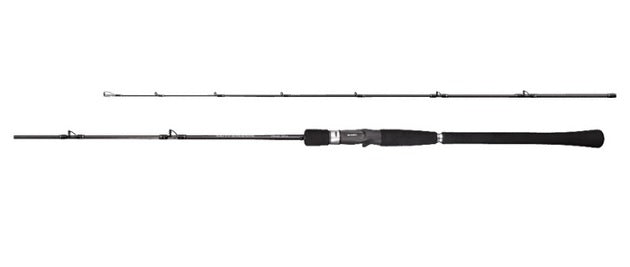 Shimano Offshore Rod 19 Salty Advance Jigging B60-4 (Baitcasting 2 Piece)