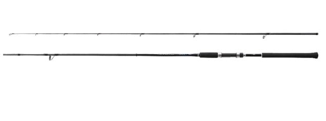 Shimano 19 Salty Advance S96L (spinning 2 Piece)